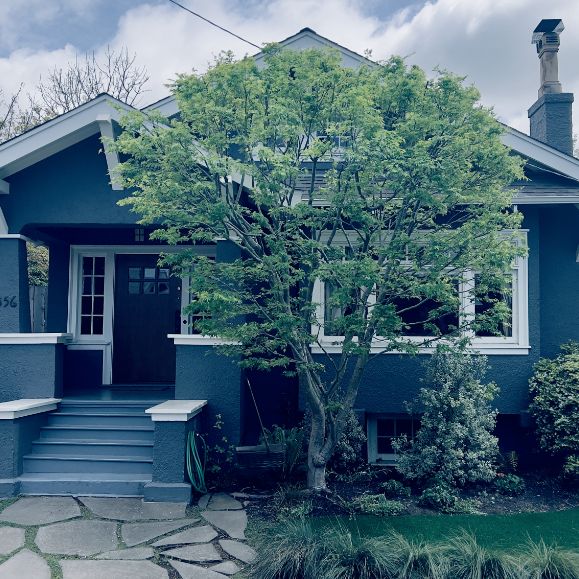 A blue house with white trim features a front porch, a tree with green leaves partially obscuring the windows, stone path steps, a hose by the steps, and shrubs in the front yard under a partly cloudy sky.