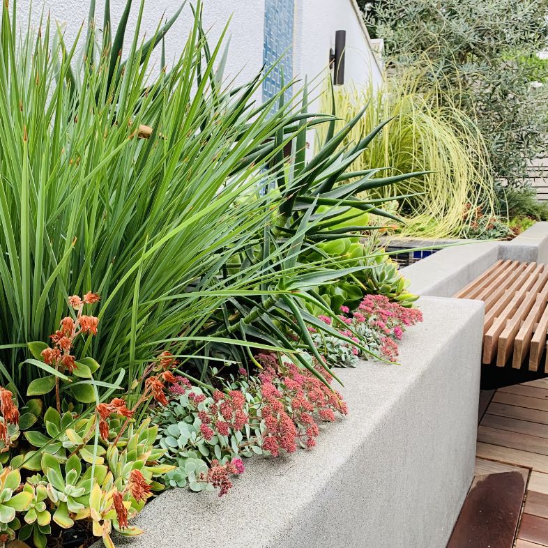 A modern outdoor planter with various green succulents and spiky grasses, some with small red and orange flowers, next to a wooden slat bench and concrete wall.