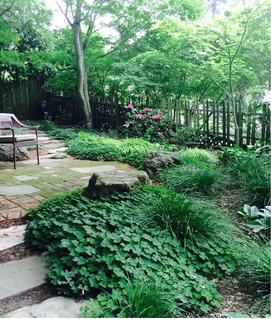 A lush backyard garden with dense green foliage, shade trees, stone paths, a wooden fence, and a metal bench in the corner. Pink flowers bloom near the center among the greenery.